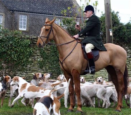 Fox Hunting Act Repeal: 1700s Fox-Chasing Frenzy & English Class Tensions